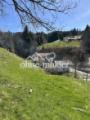 Blick Grundstück und Nachbar 
