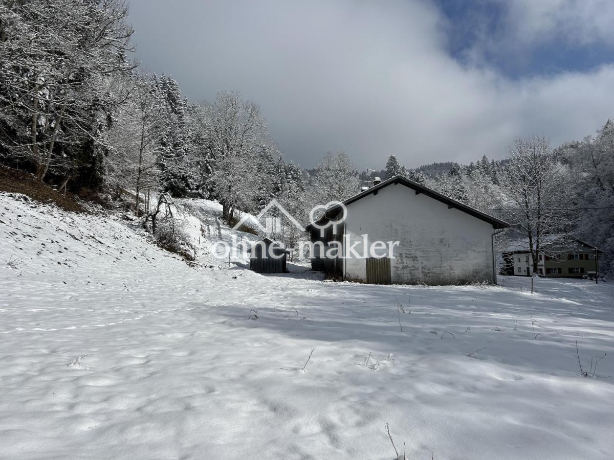 Winterimpression 