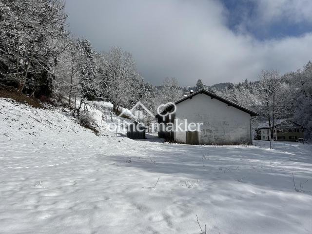 Winterimpression 