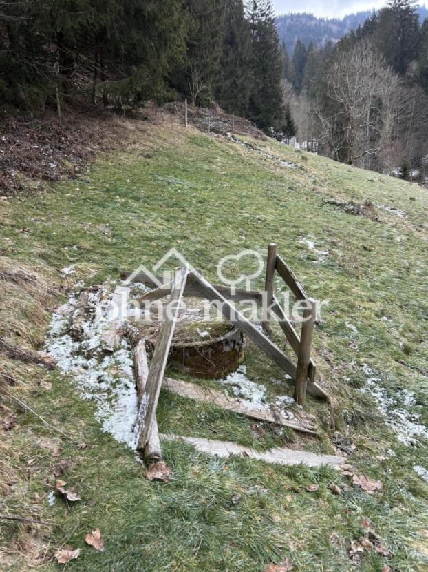Quellschacht am Hang 
