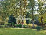 Garten mit Seeblick