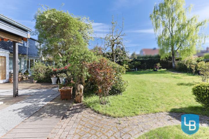 Blick in den Garten