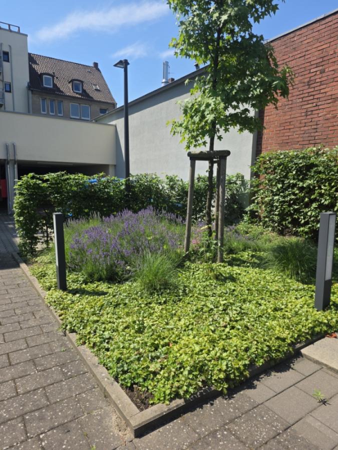 Garten2