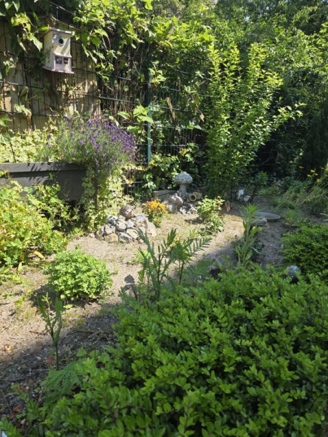 Garten3