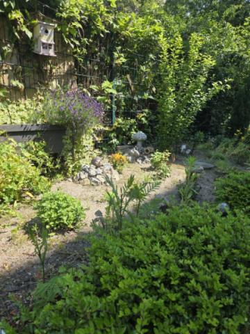 Garten3