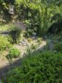 Garten3