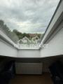 Blick in den Garten