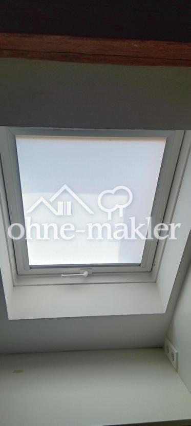 Sichtschutz Fenster