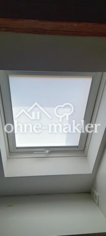 Sichtschutz Fenster