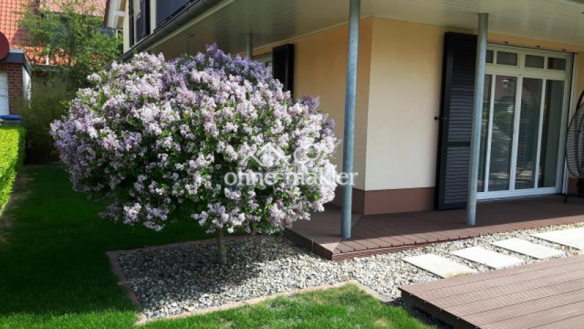 Veranda am Wohnzimmer