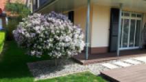 Veranda am Wohnzimmer