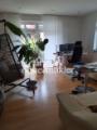 WZ Einliegerwohnung