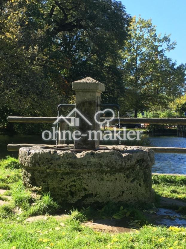 Umgebung Weiher Brunnen