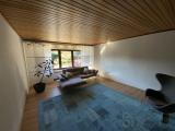 Neubau -Wohnzimmer 