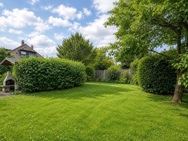 Ansicht Gemeinschaftsgarten 