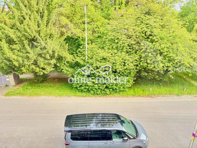 Blick in den Park