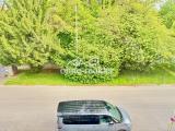Blick in den Park