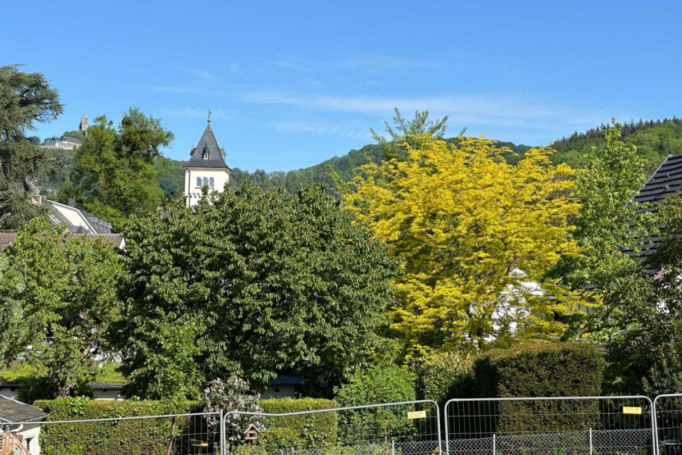Erdreich mit Aussicht-Drachenfels