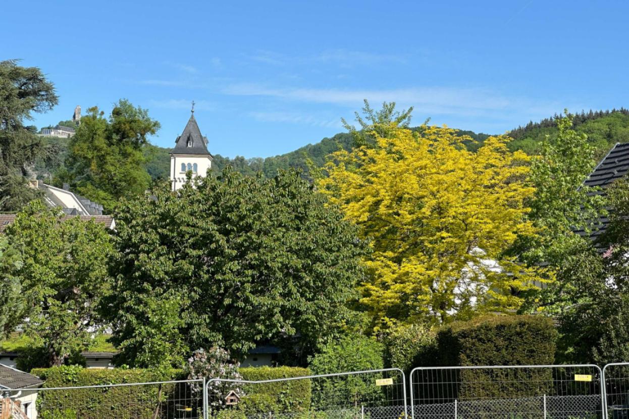 Erdreich mit Aussicht-Drachenfels