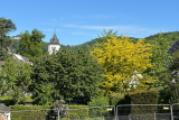 Erdreich mit Aussicht-Drachenfels