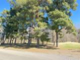 Natur pur  
