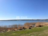 Natur pur 