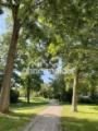 Parkblick