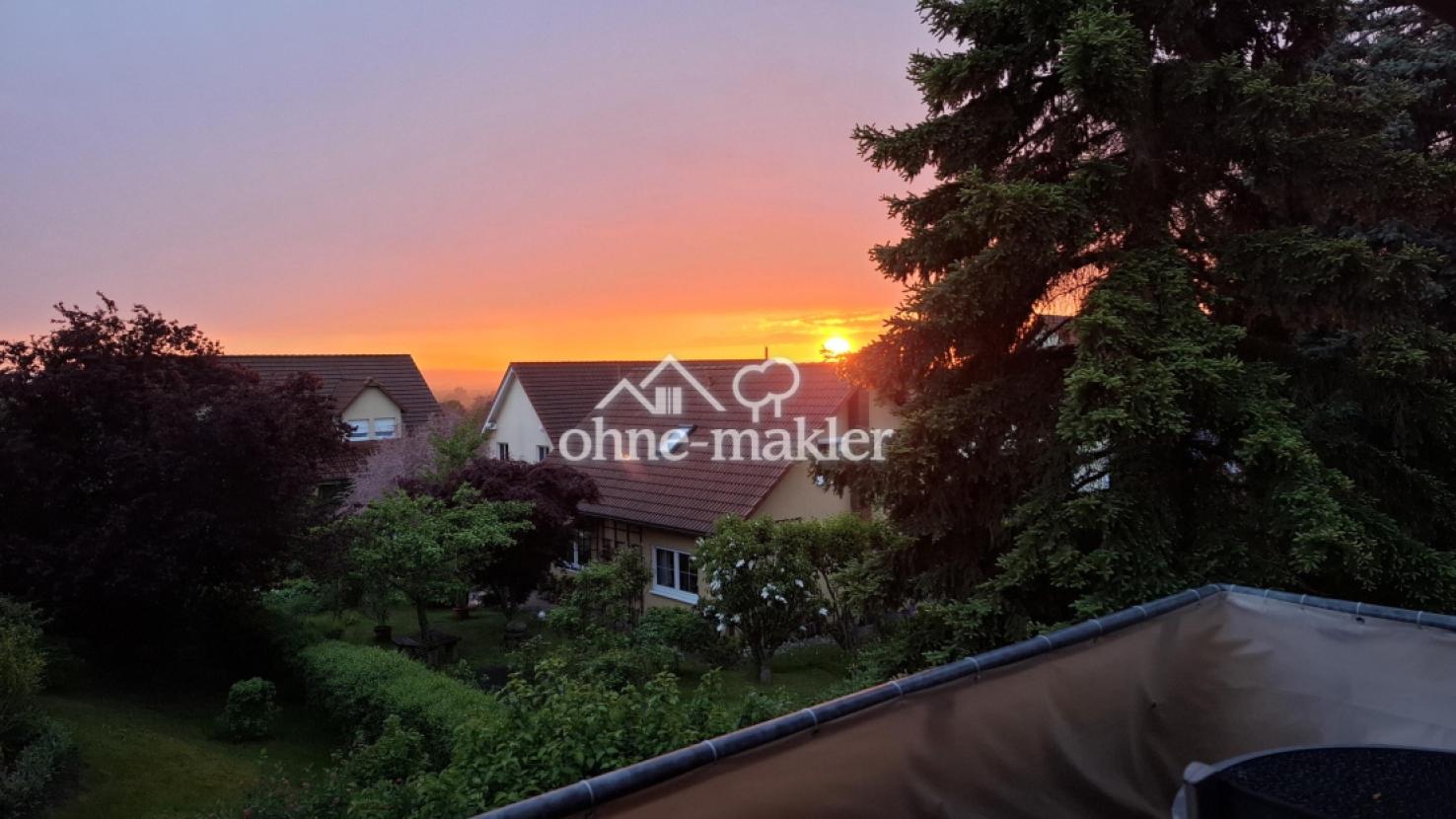 Blick vom Balkon (15.05.2026)