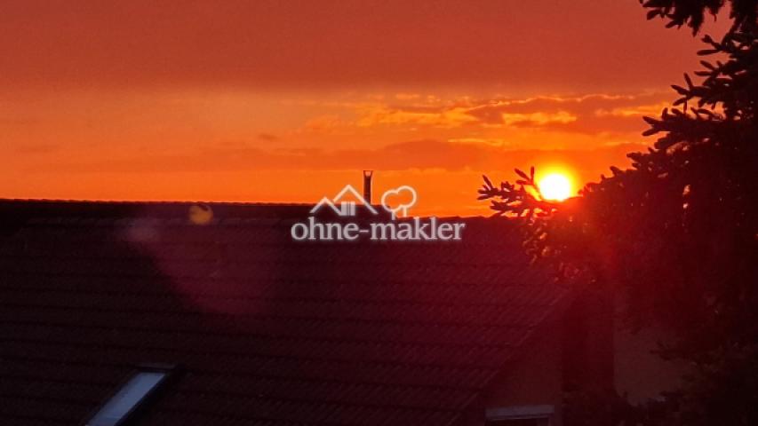 Blick vom Balkon (15.05.2026)