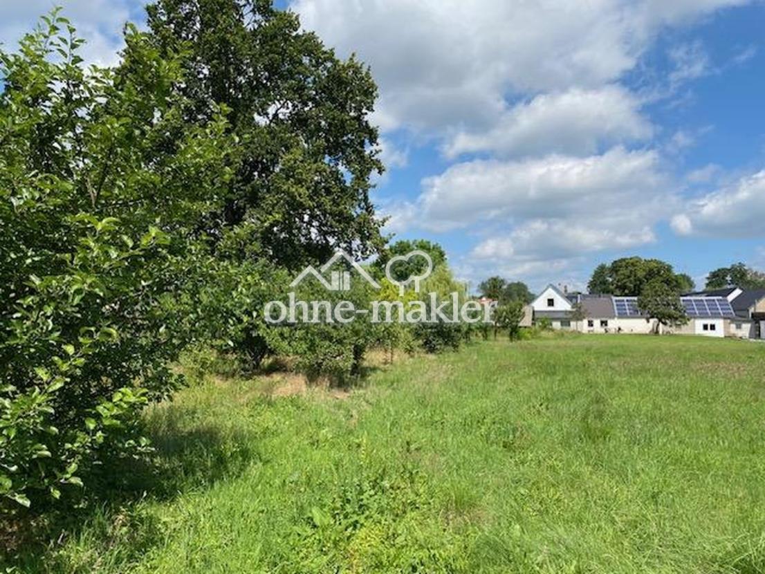 Obstwiese 