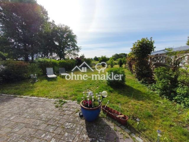 Blick in den Garten