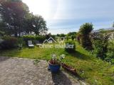 Blick in den Garten