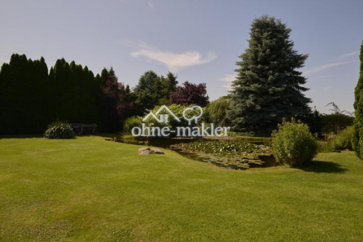 Garten Teich
