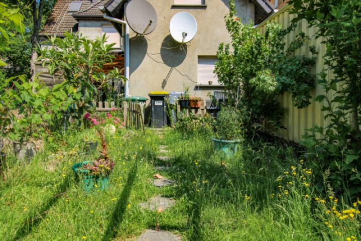 Garten 1