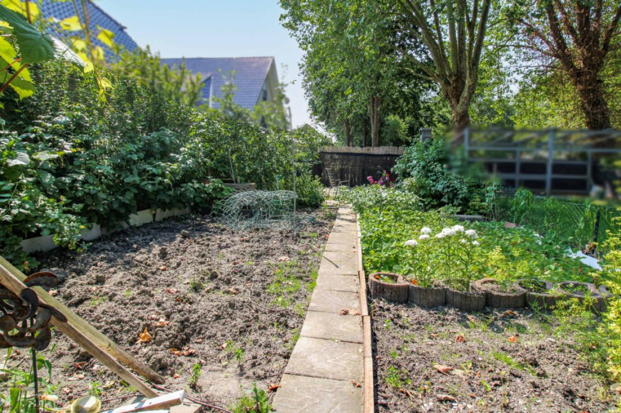Garten 2