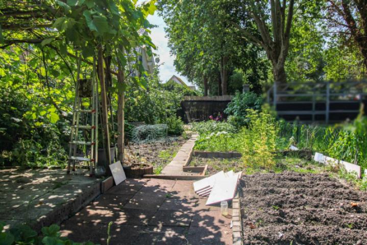 Garten 3
