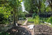 Garten 3