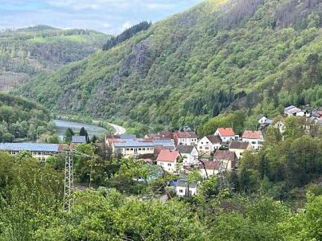 Bild