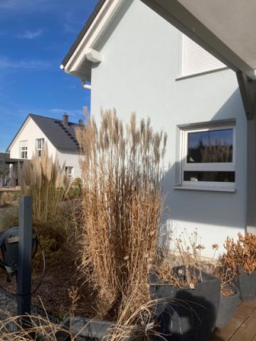 Ansicht Terrasse