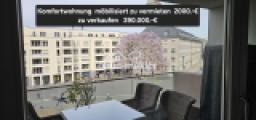 Blick vom Balkon zum Rathaus