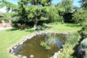 Garten mit Teich
