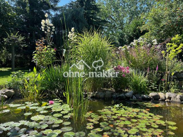 Wunderschöner Garten
