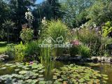 Wunderschöner Garten