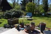 Gartenblick von der Terrasse 3