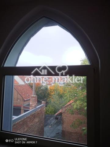 Blick in den grünen Garten