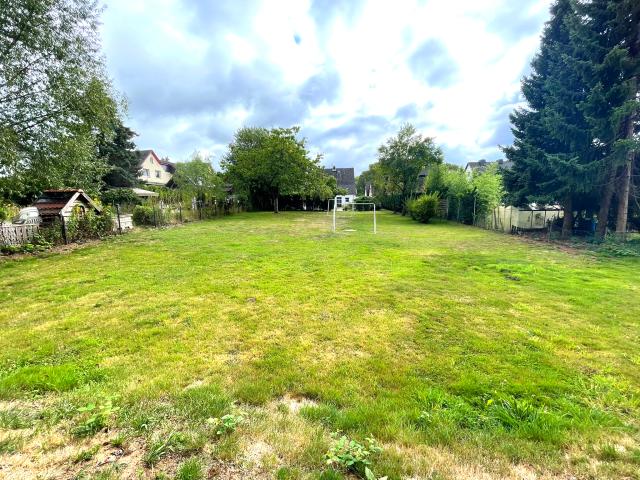 Gartenansicht von hinten zum Haus