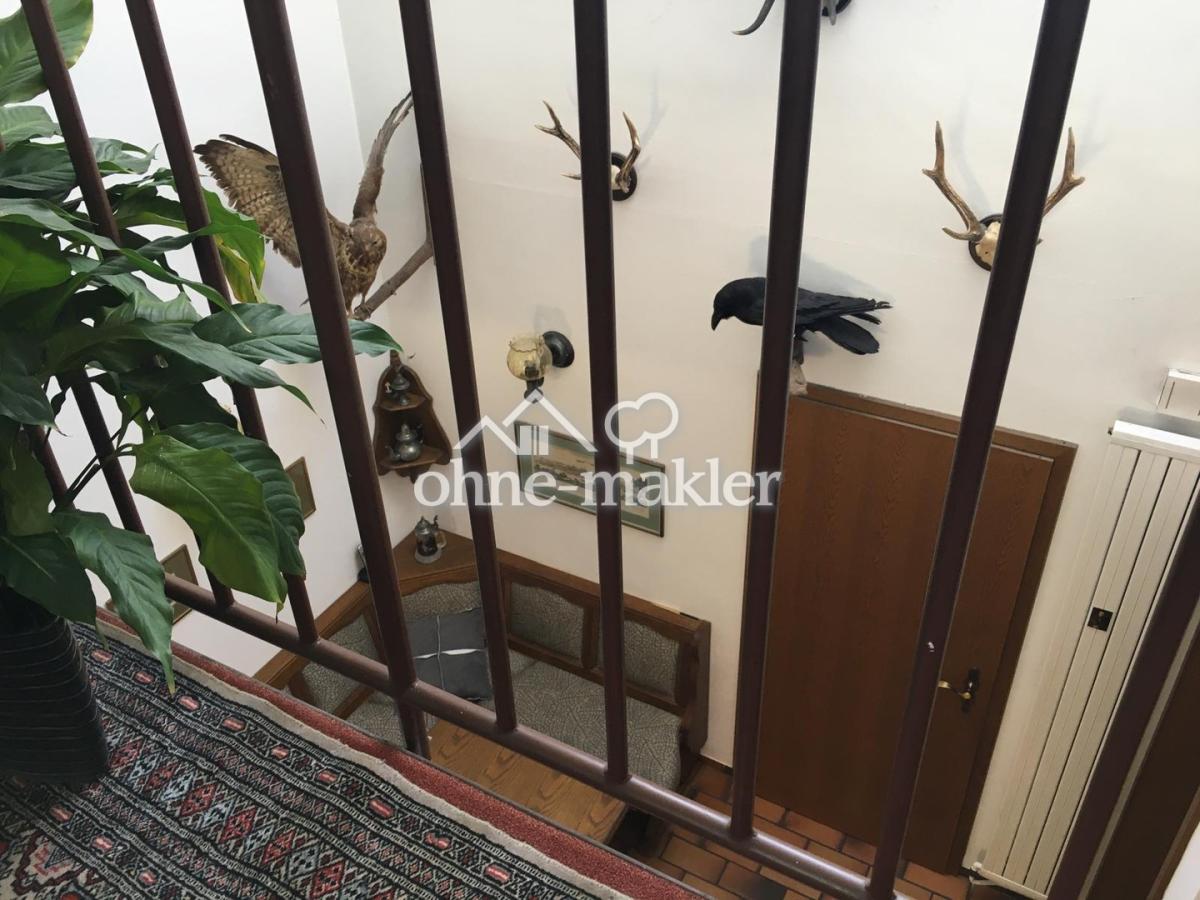 1 OG Galerie Bild 1