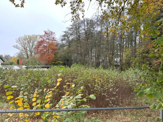 Grundstück (4)