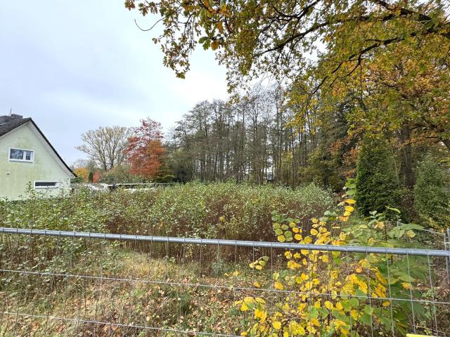 Grundstück (1)