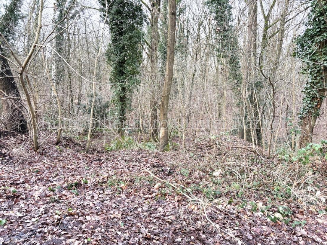 Ansicht 5